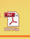 PDF File